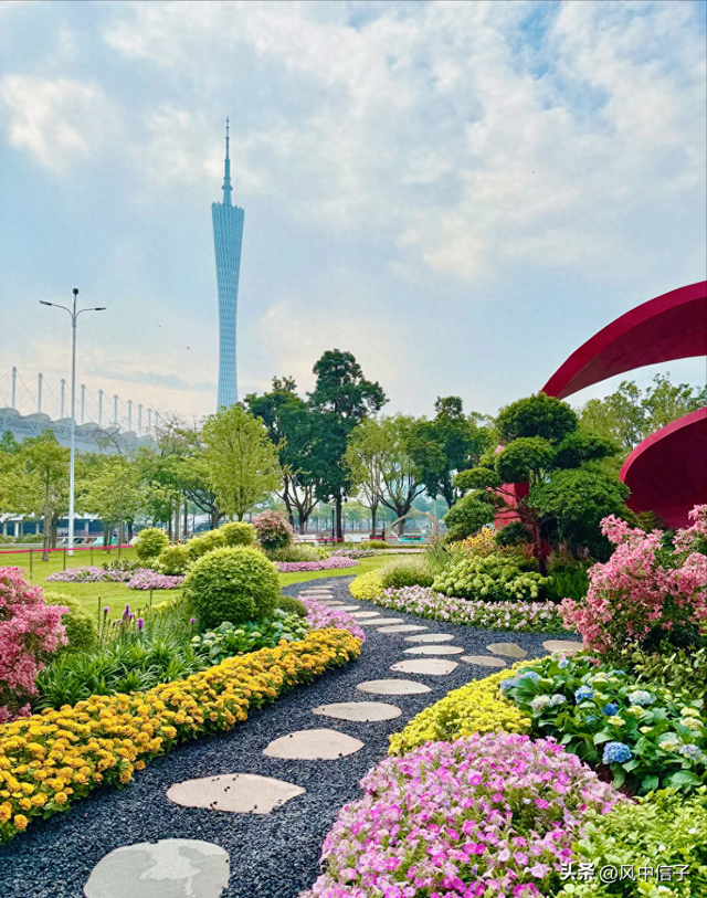 这个周末不如带娃去逛逛这里的花花