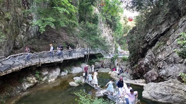 安化暑期接待游客近500万人次！茶旅融合引爆夏日经济