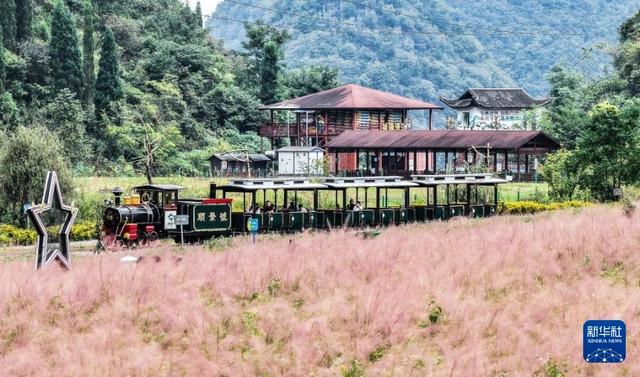 贵州长顺：长假赏花正当时