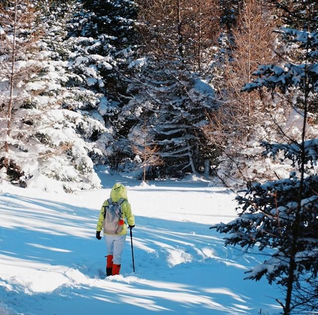 唯品会5折买Columbia，玩真实户外也可以很松弛