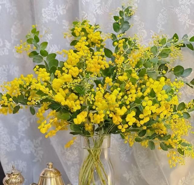 妈妈劝女儿找对象，别看脸蛋看心肠，好男人是这样炼成的