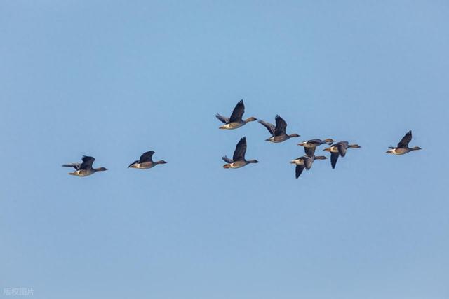 “上午冬至，冰上走；下午冬至，棉袄丢”，21日冬至，今年冬至在哪儿？