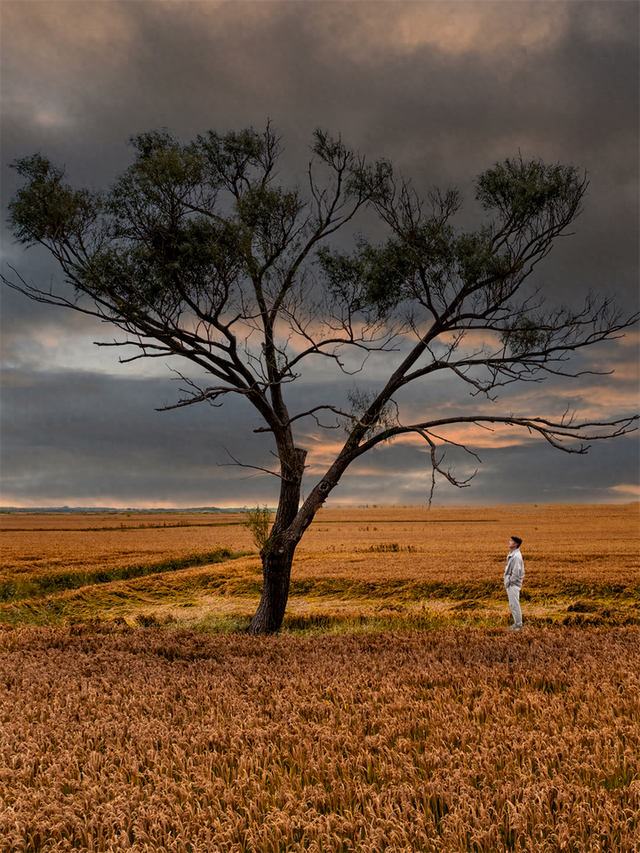 为了这些照片，我专门来了一趟东营！