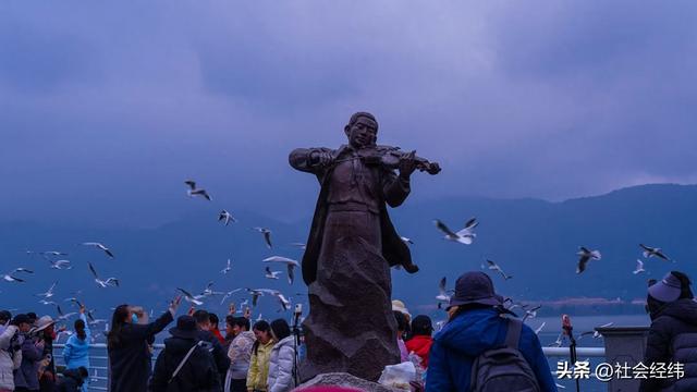 每日一景|漫步滇池湖畔·与海鸥共舞