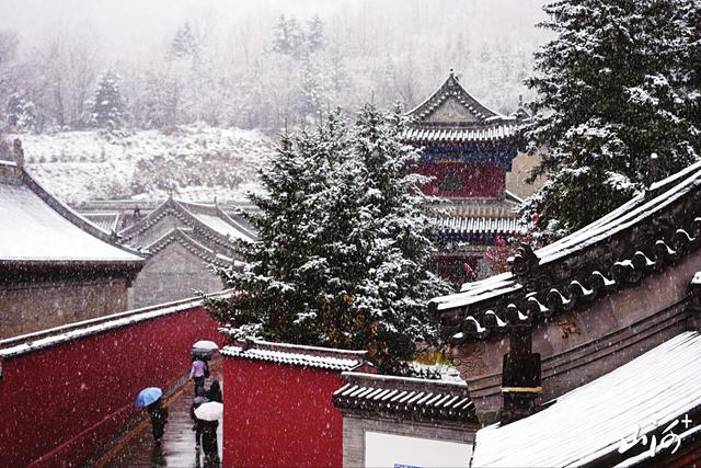 忻州：五台初雪压枝头 古建红墙染素光