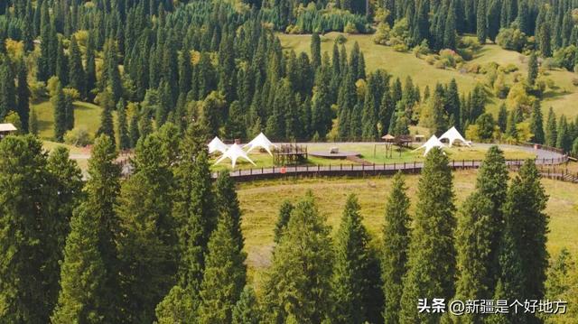 一文讲清，伊犁8个草原现在景色怎么样？