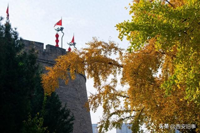 漫步在秋韵浓郁的环城公园（美图）