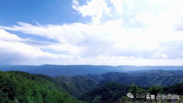 穿越唐帽山森林秘境