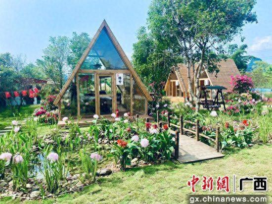 桂林市七星区：“村咖经济”焕新农文旅业态