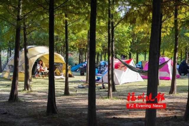 刚刚公布！可搭帐篷、露营！福州这些公园绿地，免费开放啦