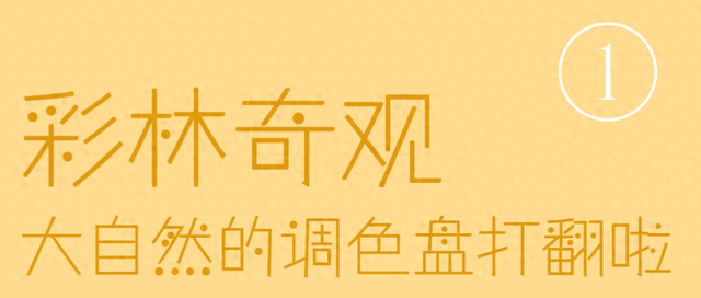 走，到屏山老君山赏秋去→