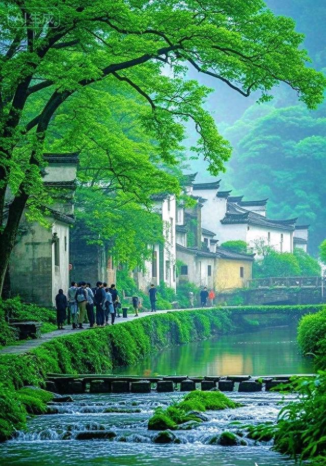 繁荫裹巷，石溪淌过旧时光