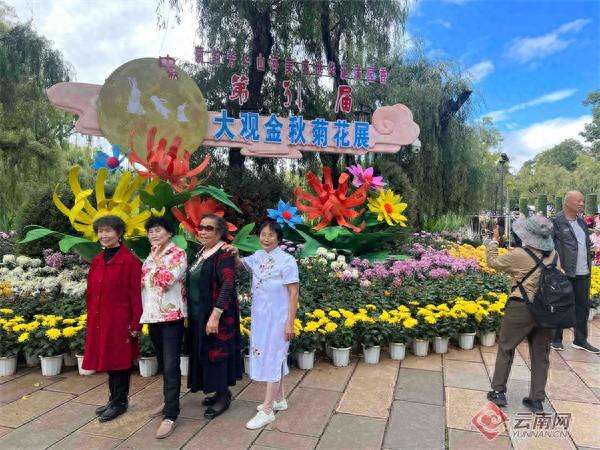 第31届大观金秋菊展将于10月1日开幕