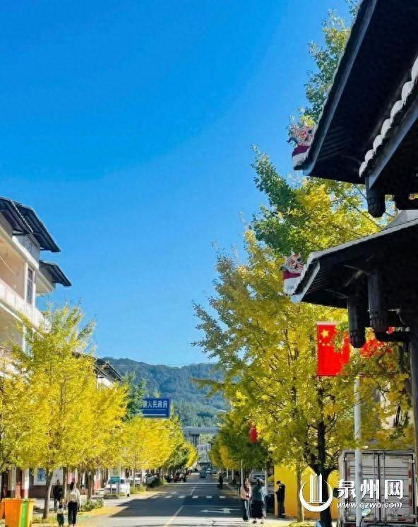 金叶万扇舞秋风：深秋 山野便染尽金色 银杏成最耀眼的主角