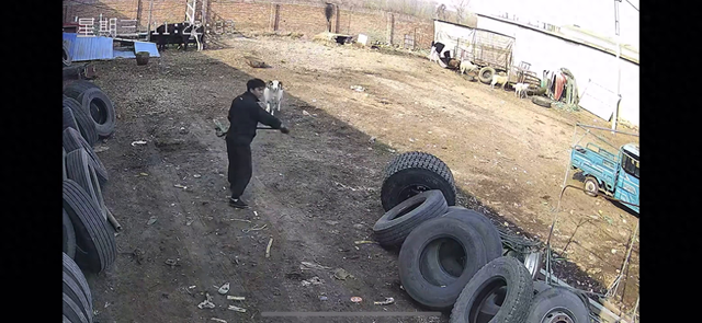 人兽大战攻略（WWE之人兽大战）