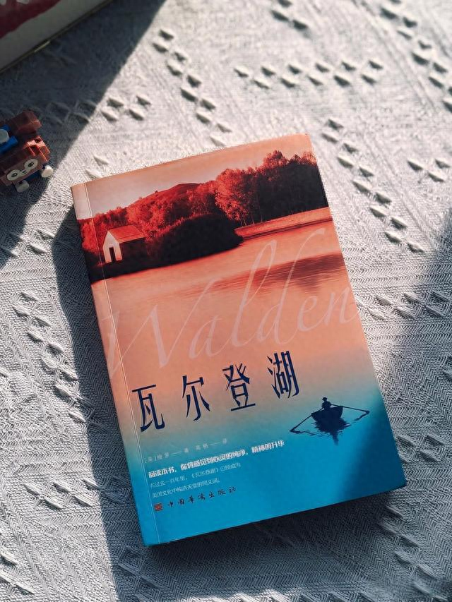 帮鸟儿解冻3游戏攻略（瓦尔登湖这3个狠招）