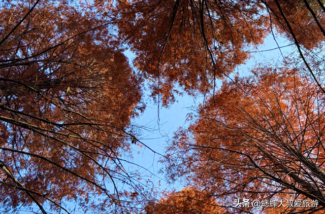 原来黄山附近还藏着一个道教名山，对安徽人限时免费，可做逍遥客