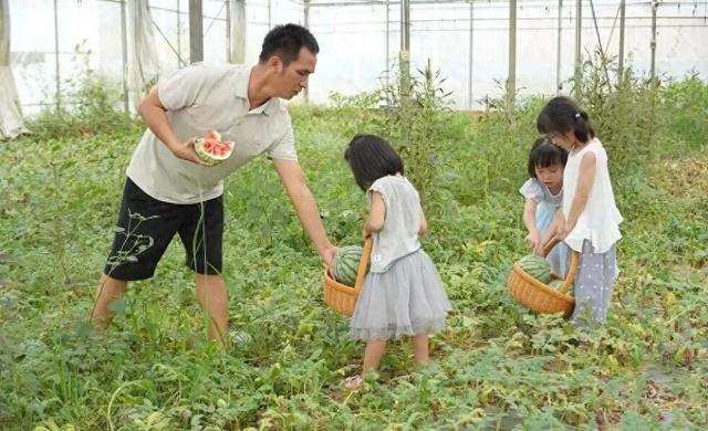 周末好去处！开森农场采摘、休闲、研学一站式体验