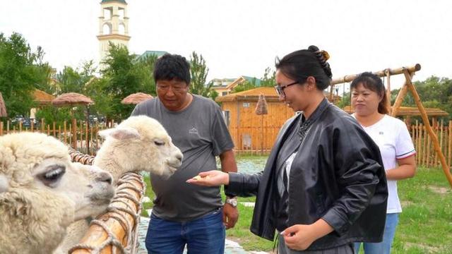 同江：“江”萌宠进行到底