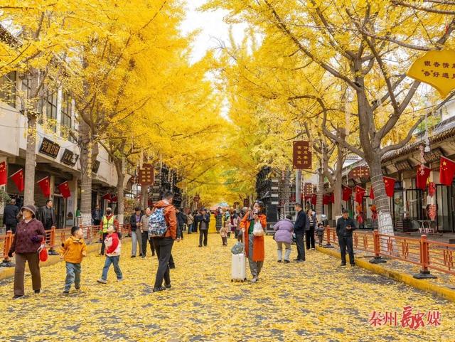 2025年天水市秦州区第七届黄金大道文化旅游周精彩启幕