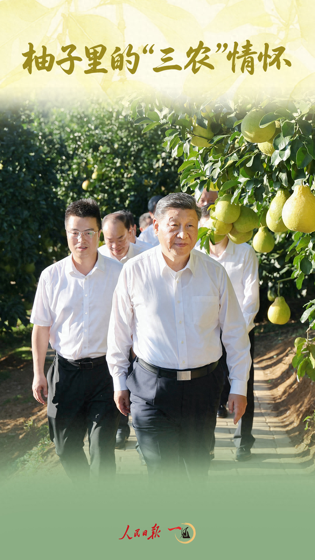 一见·柚子里的“三农”情怀