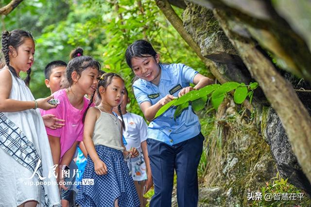 江西靖安：森林研学探索自然奥秘
