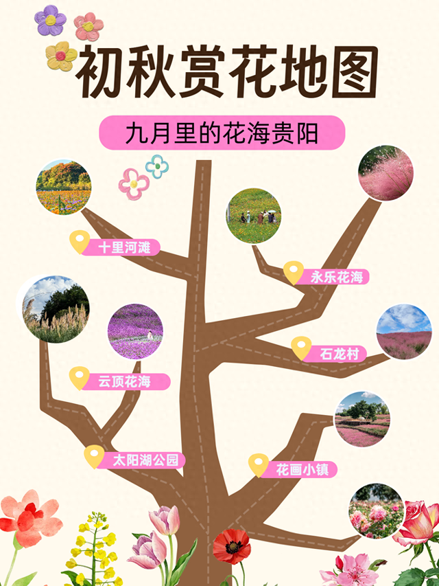 9月贵阳赏花地图｜这些绝美花海，承包你的初秋浪漫！