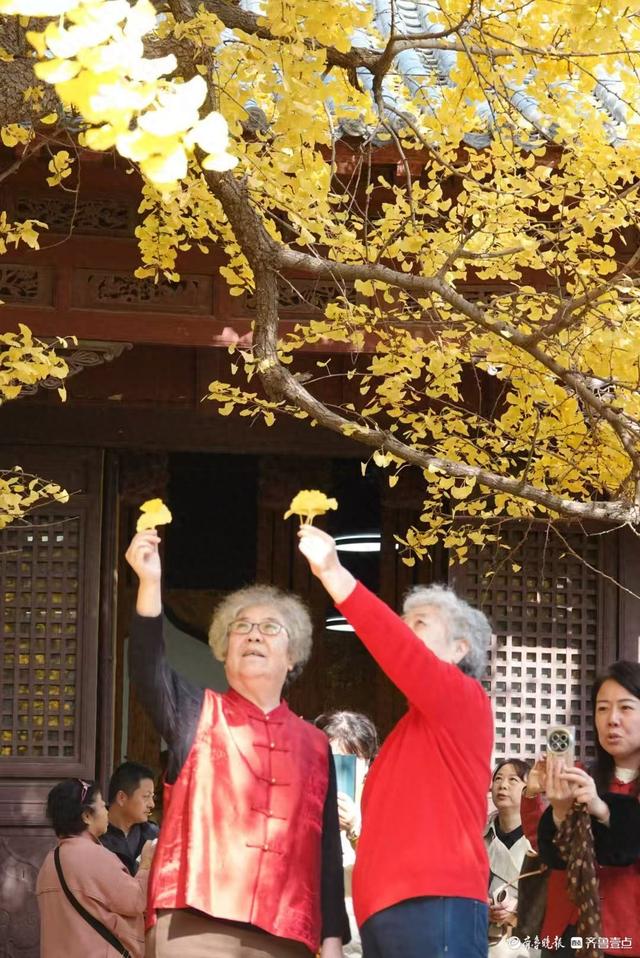 游人争相打卡灵岩寺