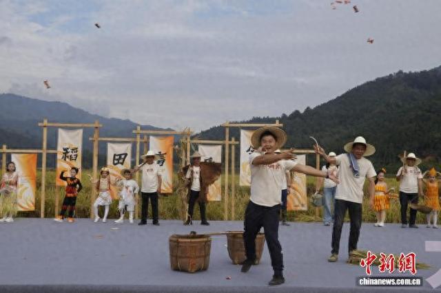 摸鱼割稻拍大片 闽北农耕游玩转乡土乐趣