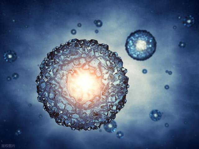 科学家发现，持续良好的社会关系能够显著减缓人体生物衰老