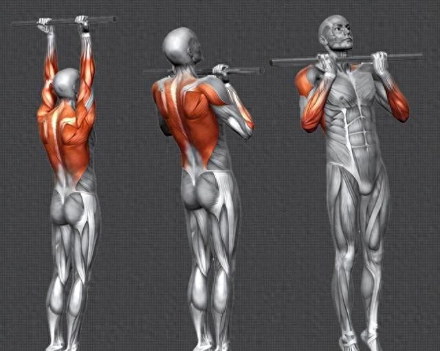 10个俯卧撑，不如一个标准引体向上！为什么引体向上优点更多？