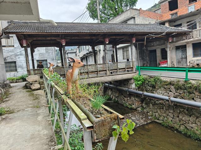 天台县桥棚村，小桥流水人家，古道西风瘦马