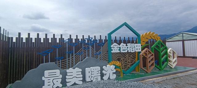 最美曙光里稻田