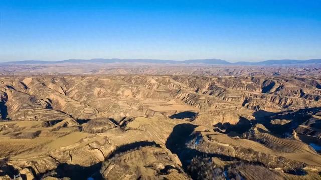 洋芋开花赛牡丹