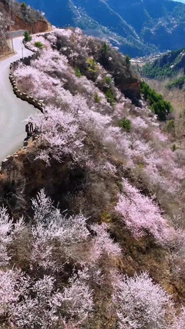 一年四季南太行最适合去旅游的景区大汇总（含地址）