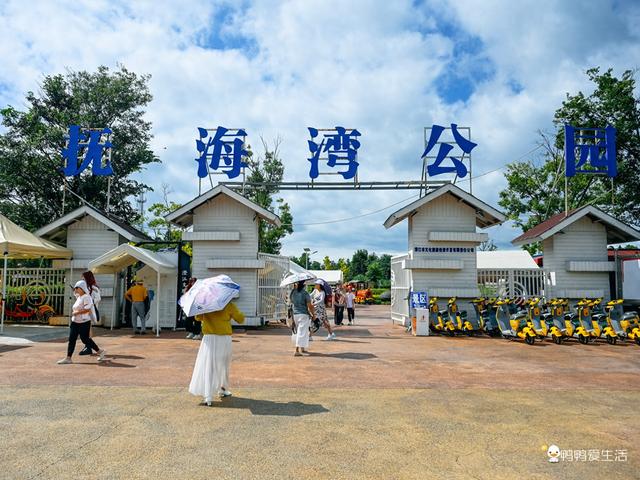 云南秘境|抚仙湖抚海湾公园，邂逅花与海的浪漫