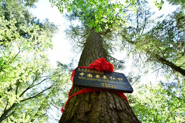 龙江森工集团再添一处AAAA级景区