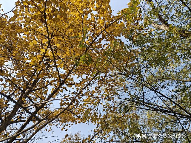 再游宕渠文化游，感受千年历史沉积