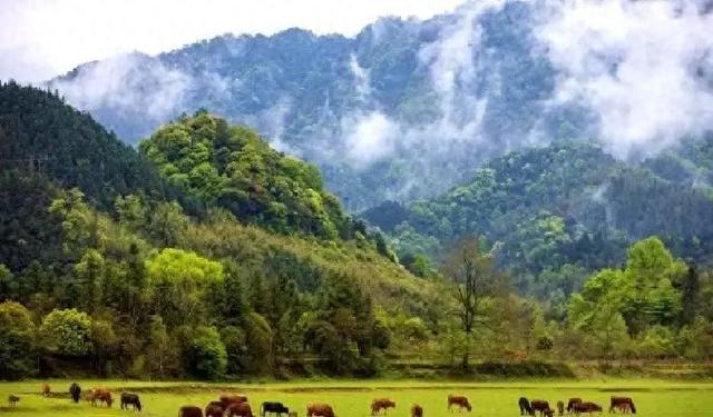 两性关系，女生发“嗯嗯”是什么意思，男人一定要懂