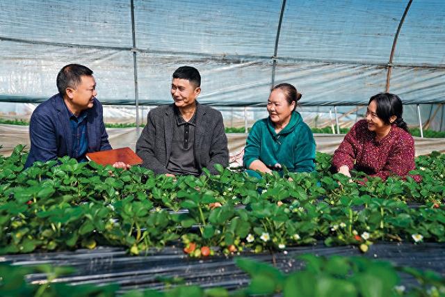 跳子棋游戏破解版（瞭望湖南对村巡察深入广阔乡野）