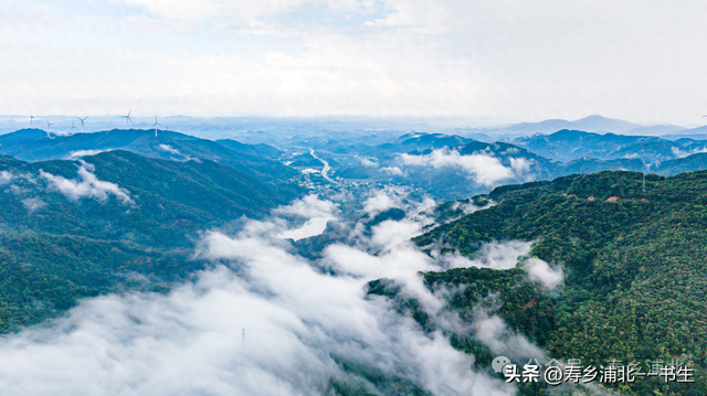 你经常穿越大浦高速大茅垌隧道，可你知道山顶风光有多美吗？