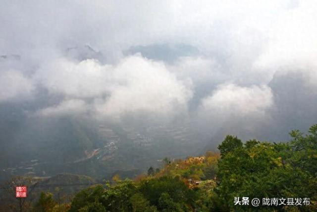 醉美文县：秋色斑斓大岭梁