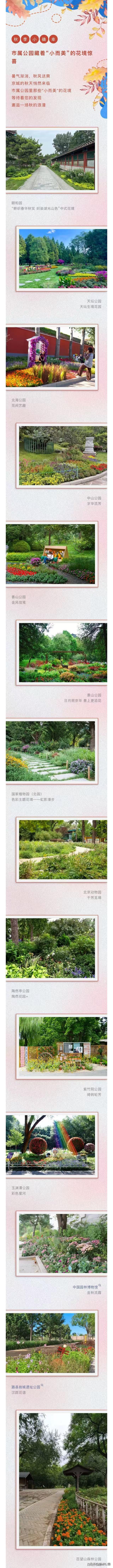 秋季小确幸，市属公园藏着“小而美”的花境惊喜