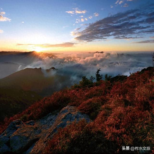 双节同庆·畅游柞水-生态探幽·红叶秘境之旅