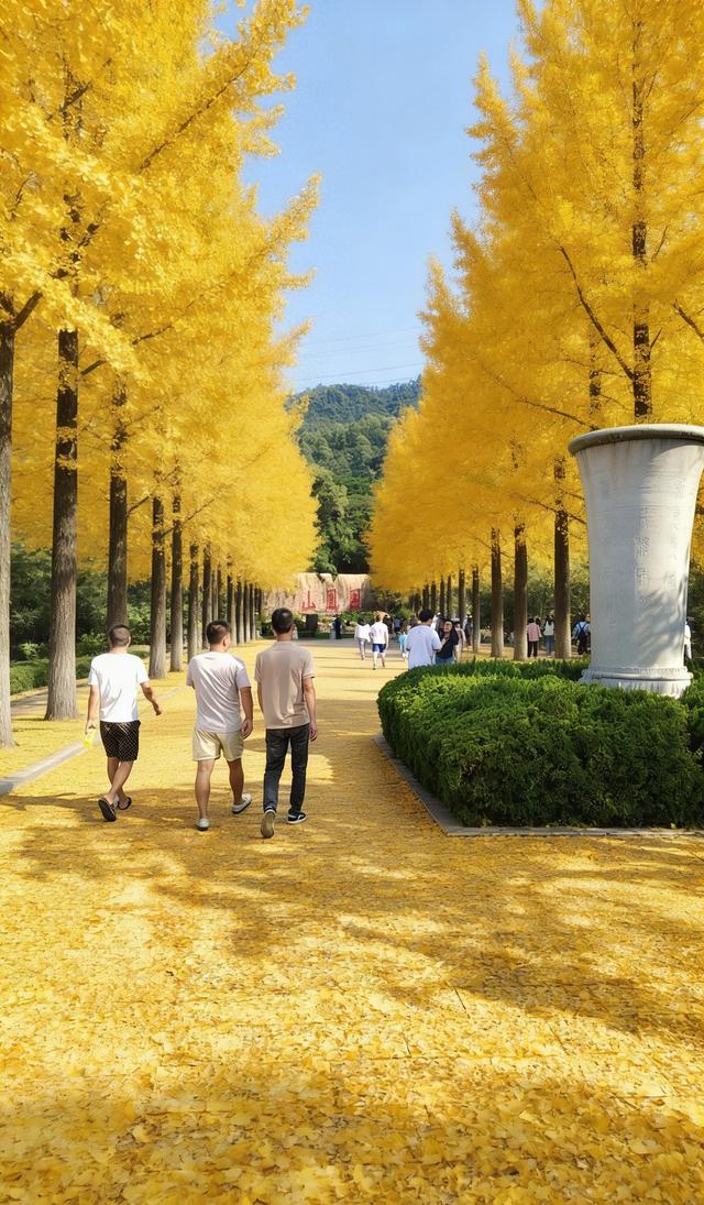 金色铺就的甬道——银杏叶与阳光织就的秋日幻境！