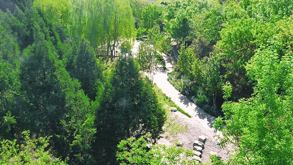 别白跑！舞彩浅山11月24日起闭园