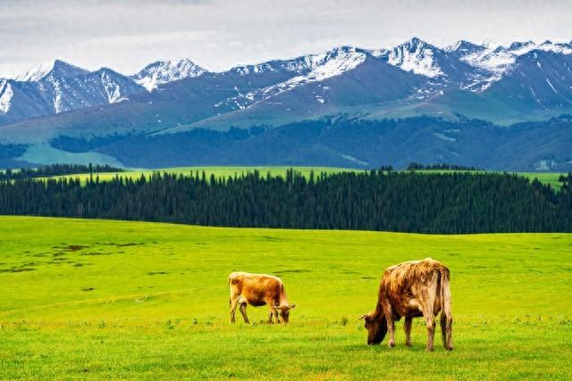 中国10大旅游大省是这10个，云南第3，广西第7，你同意吗？