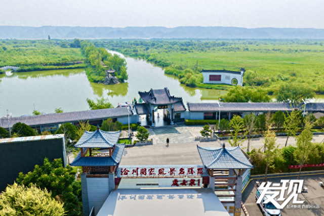 发现丨洽川湿地：绿水盈盈 芦苇丛丛