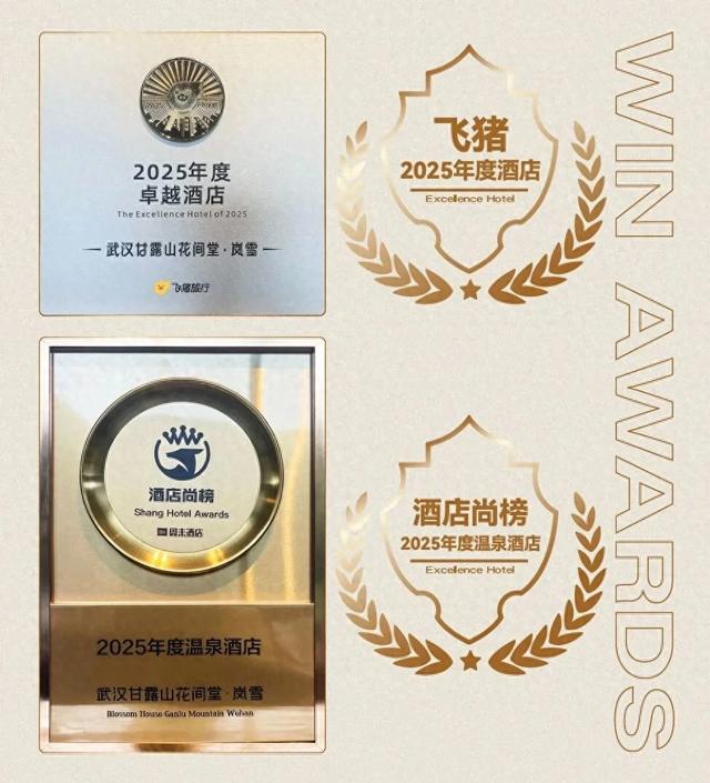 黄陂民宿,再获国际大奖!