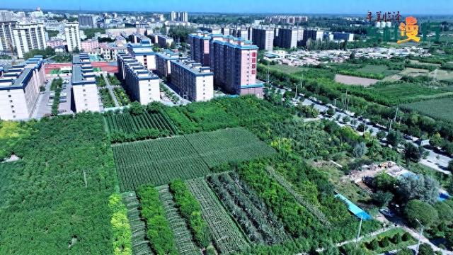 【寻美临泽·乡村漫行】灵秀沙河：一城诗意逐风光#厚道甘肃#